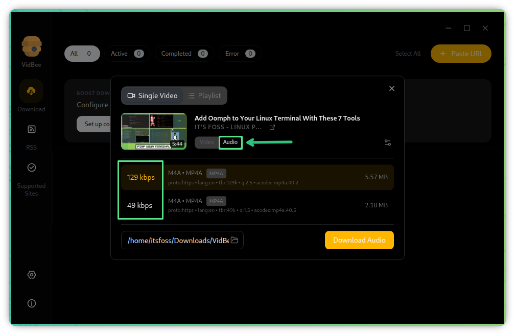 VidBee descargar audio de vídeo