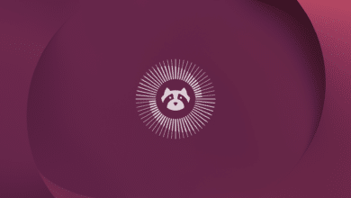 Revelando el Resilient Raccoon en Ubuntu