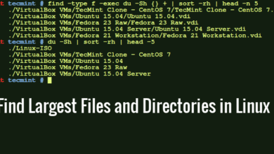 Cómo encontrar los archivos y directorios más grandes en Linux