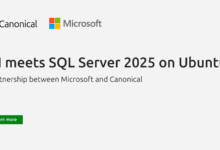La IA en Ubuntu se encuentra con SQL Server 2025