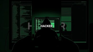 Personaliza tu KALI LINUX en 1 minuto