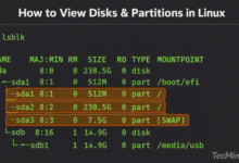 Cómo comprobar las particiones del disco en Linux (7 métodos)