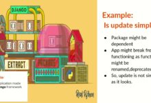 Componentes vulnerables y obsoletos