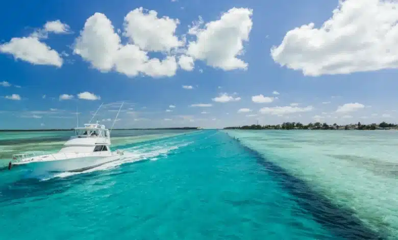 comprar de forma segura en tiendas nauticas online shop