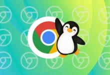 ¡Albricias! Google Chrome en Linux recibe una actualización tan esperada