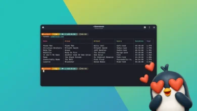 Encontré una herramienta de terminal que hace que los archivos CSV se vean increíbles