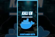 Cómo instalar Kali Linux en Docker 🐋🐲
