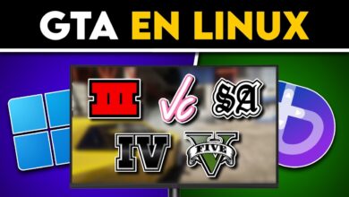 Instalé Linux solo para jugar GTA (esto sucedió)