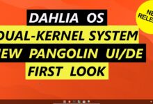 Sistema operativo Dalia | Sistema de doble núcleo | Nueva interfaz de usuario de Pangolin/DE | Primer vistazo