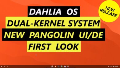 Sistema operativo Dalia | Sistema de doble núcleo | Nueva interfaz de usuario de Pangolin/DE | Primer vistazo