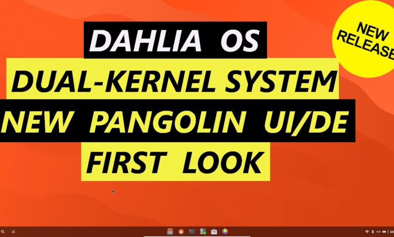 Sistema operativo Dalia | Sistema de doble núcleo | Nueva interfaz de usuario de Pangolin/DE | Primer vistazo