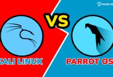 Kali Linux y Parrot OS: lo mejor para la seguridad de Internet