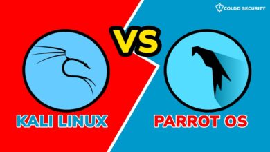 Kali Linux y Parrot OS: lo mejor para la seguridad de Internet