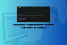 Bash Read Command: How To Read User Input In Scripts