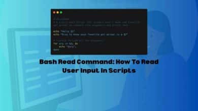 Bash Read Command: How To Read User Input In Scripts