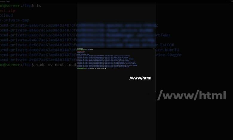 Lección #11 de Jellyfin: Colocar el directorio Nextcloud en un directorio público