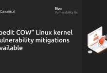 pedit COW Medidas de mitigación de vulnerabilidad de elevación de privilegios locales básicos
