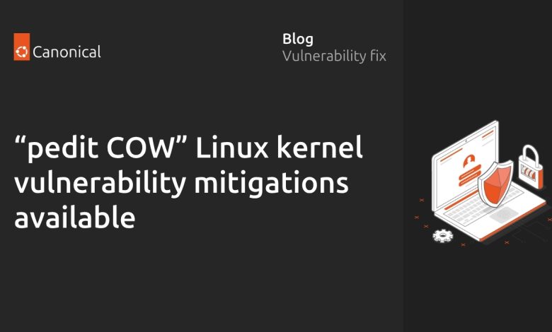 pedit COW Medidas de mitigación de vulnerabilidad de elevación de privilegios locales básicos