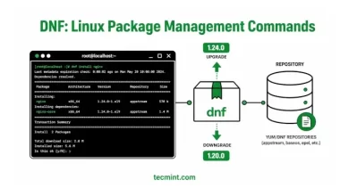 20 comandos DNF básicos para la gestión de paquetes en Linux