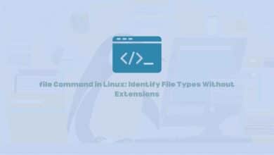file Command in Linux: Identify File Types Without Extensions
