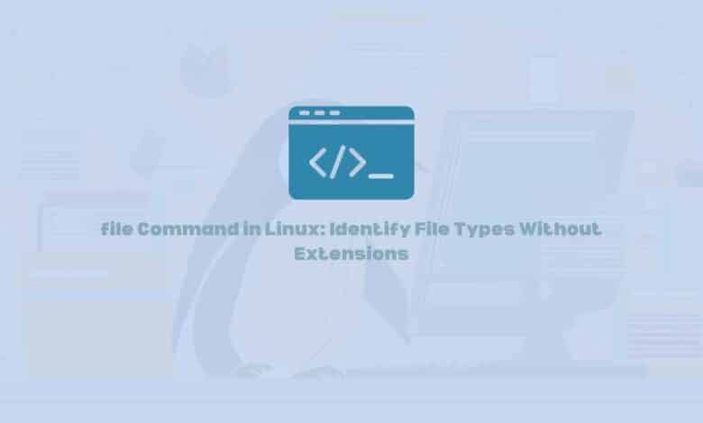 file Command in Linux: Identify File Types Without Extensions