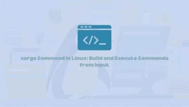 xargs Command in Linux: Build and Execute Commands from Input