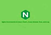 Nginx Commands in Linux: Start, Stop, Reload, Test, and Log