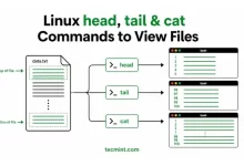 Comandos head, tail y cat de Linux para ver archivos y registros