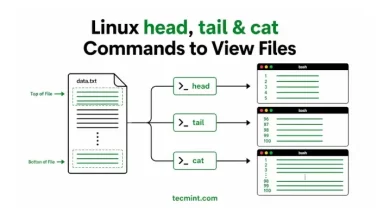 Comandos head, tail y cat de Linux para ver archivos y registros