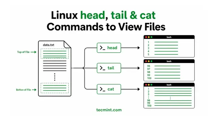 Comandos head, tail y cat de Linux para ver archivos y registros