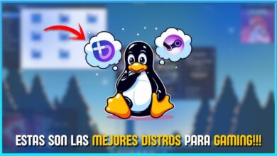 ¡Estas son las mejores distribuciones para juegos en Linux en 2025! ! ! !