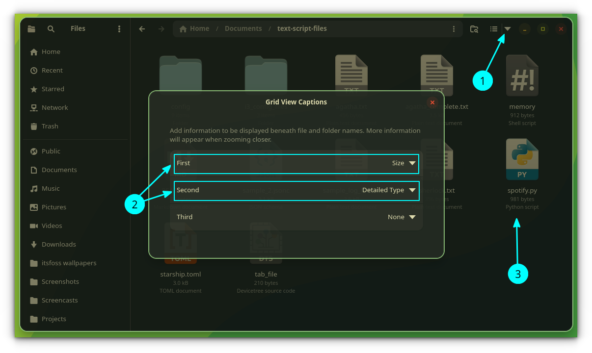 Mensaje de título de vista de cuadrícula de archivo gnome