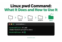 Instrucción pwd en Linux: 15 usos prácticos que debes conocer