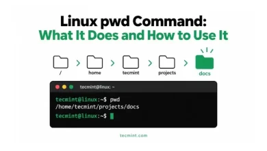 Instrucción pwd en Linux: 15 usos prácticos que debes conocer
