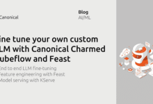 Ajuste su propio LLM personalizado utilizando Canonical Charmed Kubeflow y Feast