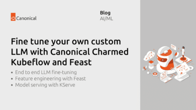 Ajuste su propio LLM personalizado utilizando Canonical Charmed Kubeflow y Feast
