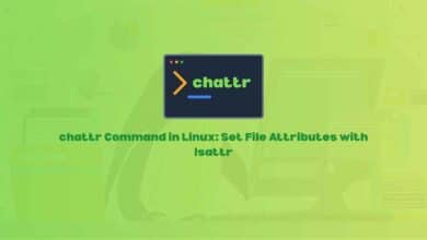 chattr Command in Linux: Set File Attributes with lsattr