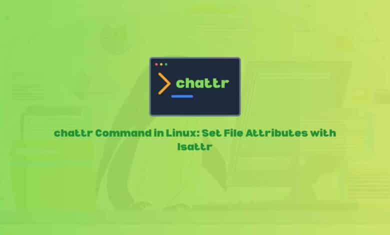 chattr Command in Linux: Set File Attributes with lsattr