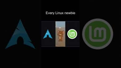 Todo novato en Linux #linux #linuxdistro