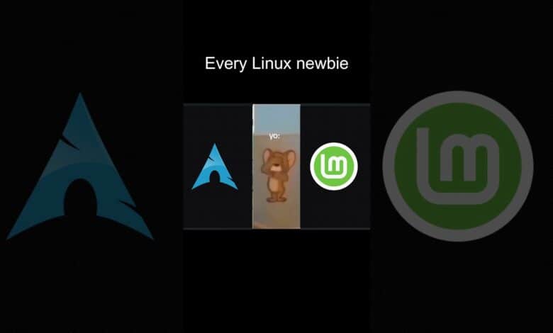 Todo novato en Linux #linux #linuxdistro