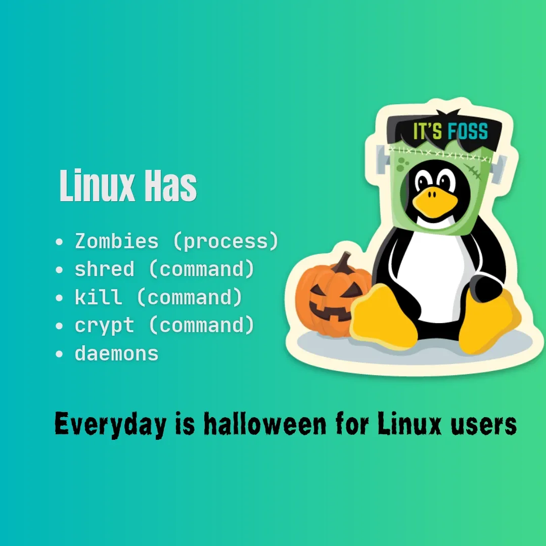 Memes De Halloween