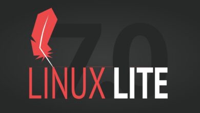 Versión final de Linux Lite 7.0 (Ubuntu 24.04)